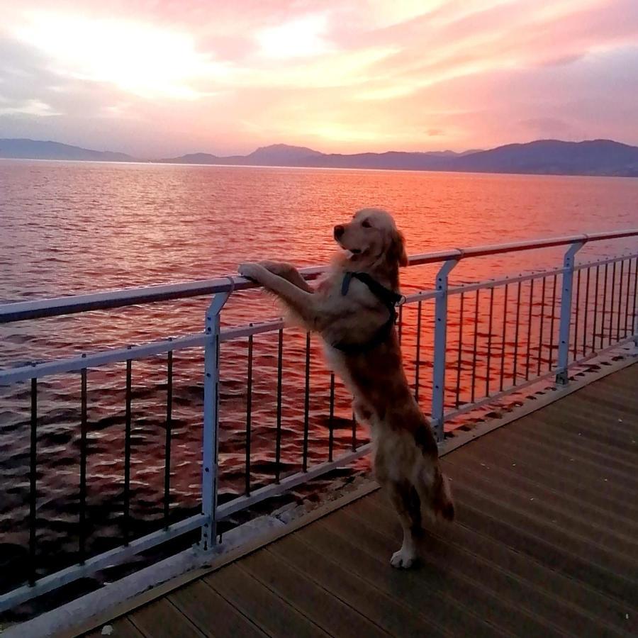 Hotel Mudanya Dış mekan fotoğraf